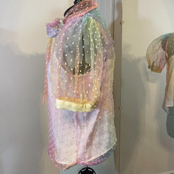 Vici Sheer Blouse - Picture 3 of 7